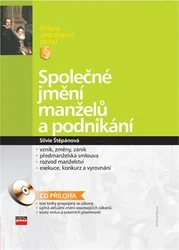 Kniha Společné jmění manželů a podnikání