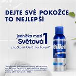 Kondicionérová pena Gillette Series 250 ml