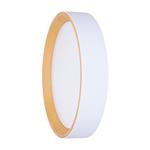 LED osvetlenie s diaľkovým ovládaním Larios White, 48W, 3360lm, 39cm, zmena chromatickosti, stmievateľné