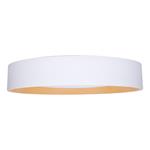LED osvetlenie s diaľkovým ovládaním Larios White, 48W, 3360lm, 39cm, zmena chromatickosti, stmievateľné