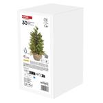 LED svítící stromek, 50 cm, venkovní i vnitřní, teplá bílá, časovač