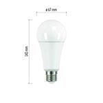 LED žárovka Classic A67 17W E27 teplá bílá