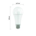 LED žárovka Classic A67 19W E27 studená bílá