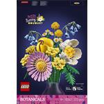 LEGO Botanicals Drobný slnečný kvet 10347
