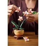 LEGO Botanicals Miniaturní orchidej 10343