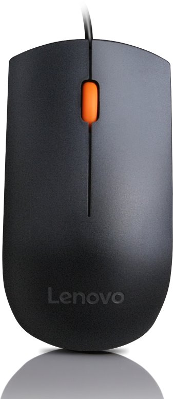 Lenovo 300 USB Mouse GX30M39704