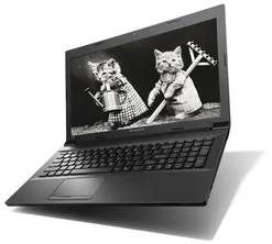 Lenovo IdeaPad B590 (59362012)