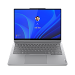 Lenovo ThinkBook 14 2 v 1 G4 IML Luna Grey (21MX0019CK)