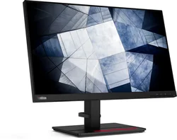 Lenovo ThinkVision P24h-2L  23,8" (62B2GAT1EU)