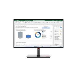 Lenovo ThinkVision P24Q-30 (63B4GAT6EU)