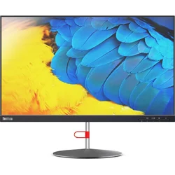 Lenovo ThinkVision X24-20 23,8"