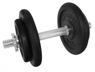 LifeFit Činka nakládací jednoruční 17 kg, 30mm tyč/4x kotouč