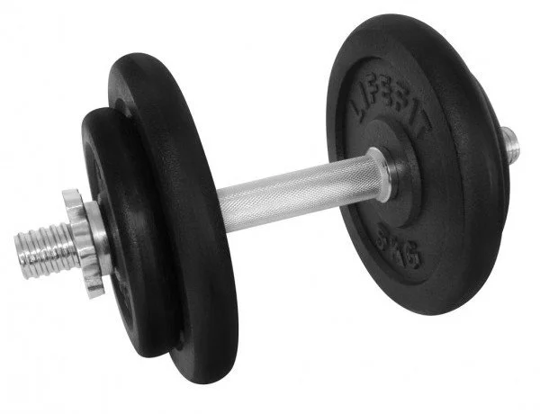 LifeFit Činka nakládací jednoruční 17 kg, 30mm tyč/4x kotouč
