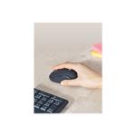 Logitech Wireless Combo MK295, graphite - CZ/SK