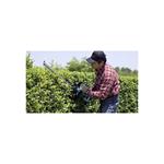 Makita UH6570