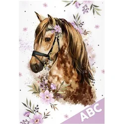 MFP Desky na ABC Kůň