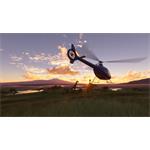 Microsoft Flight Simulator