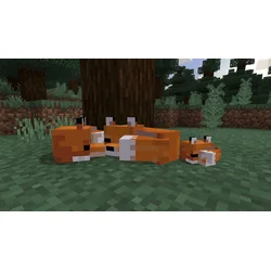 Minecraft 700 Tokens | Minecoins