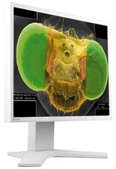 MO EIZO L768 19˝ LCD /1280x1024/1000:1/DVI TCO03