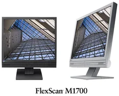 MO EIZO M1700 K 17˝LCD Black 700:1/8MS/DVI/USB TCO99