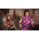 Mortal Kombat 11 Time Warriors Skin Pack