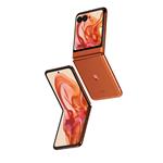 Motorola Razr 50 Spritz Orange