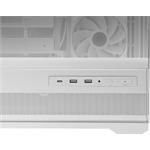 MSI MAG PANO 110R PZ White