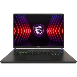 MSI Vector 17 HX A13VIG-861CZ