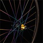 MTB PROTOTYPE World CUP SP 29" Black Rainbow - 110/148 Boost, orech Microspline 12s