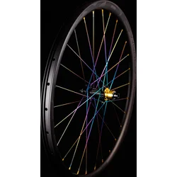 MTB PROTOTYPE World CUP SP 29" White Rainbow - 110/148 Boost, orech Microspline 12s