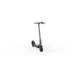 Ninebot by Segway® Kickscooter F30E