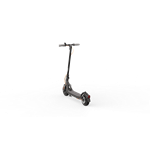 Ninebot by Segway® Kickscooter F30E