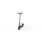 Ninebot by Segway® Kickscooter F40E