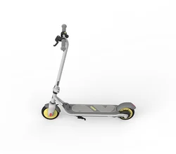 Ninebot eKickscooter ZING C8