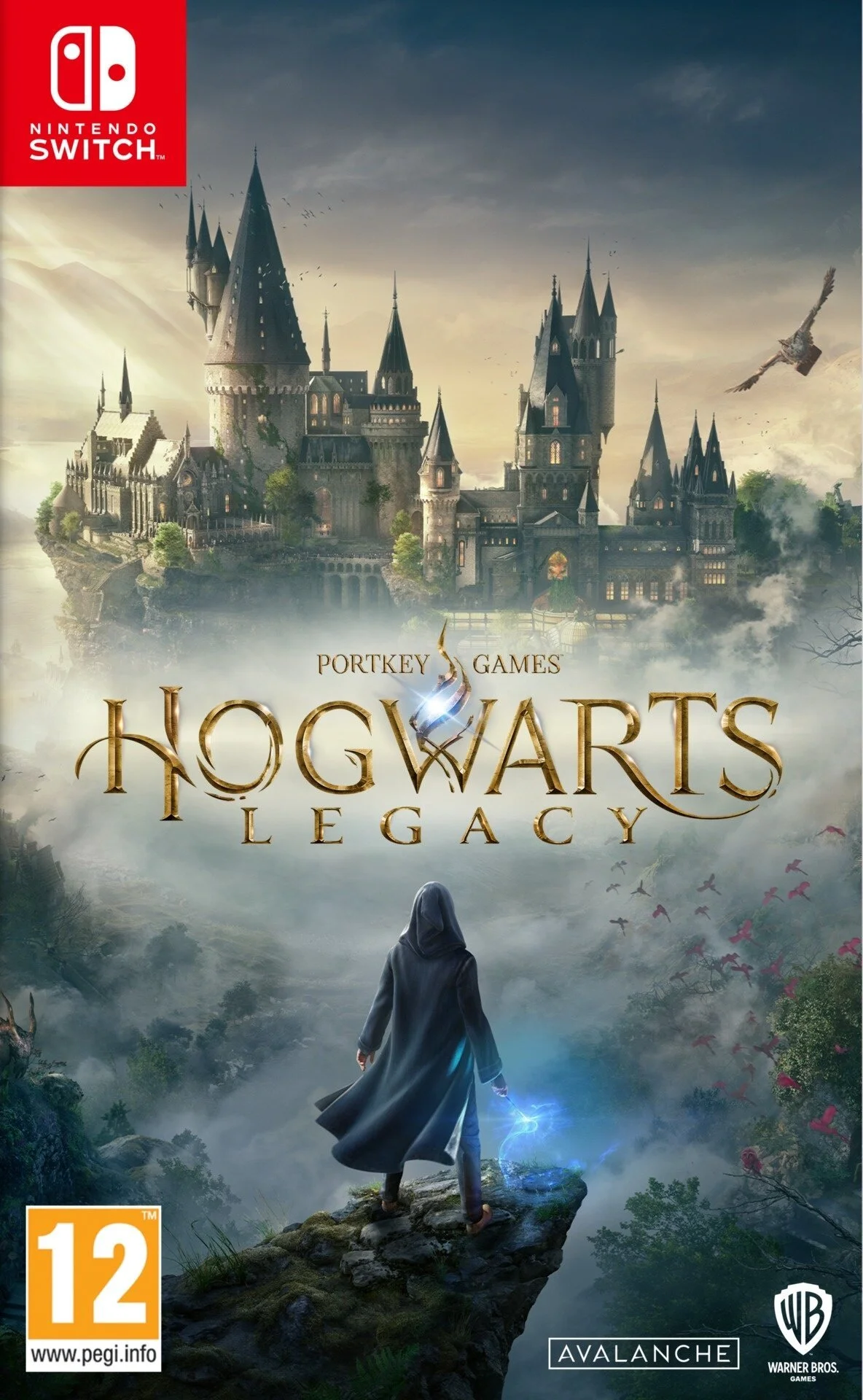 Nintendo Switch Hogwarts Legacy Nintendo Switch Hogwarts Legacy