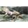 NINTENDO Wii hra Monster Hunter Tri 
