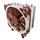 Noctua NH-U12DX i4