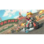 NS2 Mario Kart World