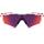 Oakley Radar EV Path Pol White w / Prizm Road