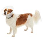 Obojok Buster Classic 20cm