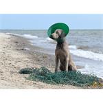 Ochranný obojok Buster Green Ocean Collar 30cm