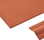 ONYX BOOX pouzdro pro GO 10.3 (Gen1 a Gen2), orange