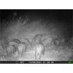 OXE Gepard II + 32GB SD karta zdarma