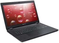 Packard Bell ENLG81BA-C5RD Black (NX.C44ES.001)