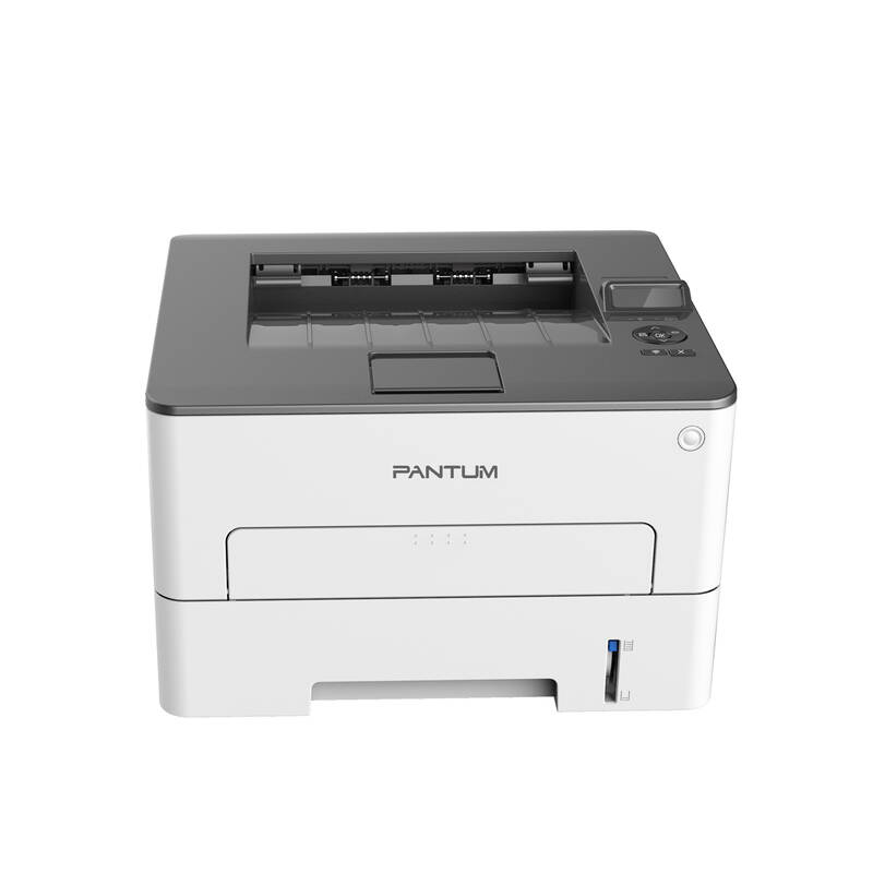 Pantum P3010DW