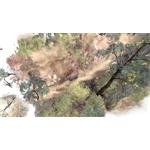 Paperbark