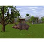 Park WildLife 2