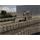 PC hra Battlefield 1942: WWII Anthology Classic