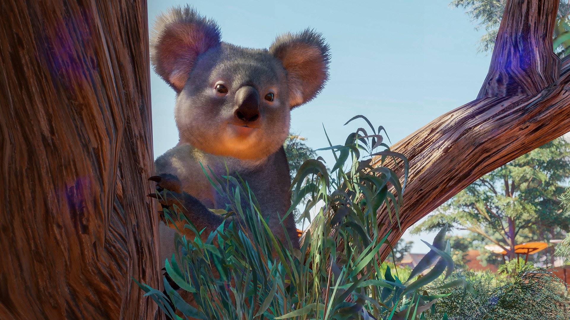 Planet Zoo Australia Pack elektronická licence