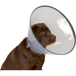 Plastový obojok Buster Comfort Collar 20 cm